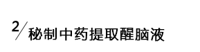 秘制中药提取醒脑注射液